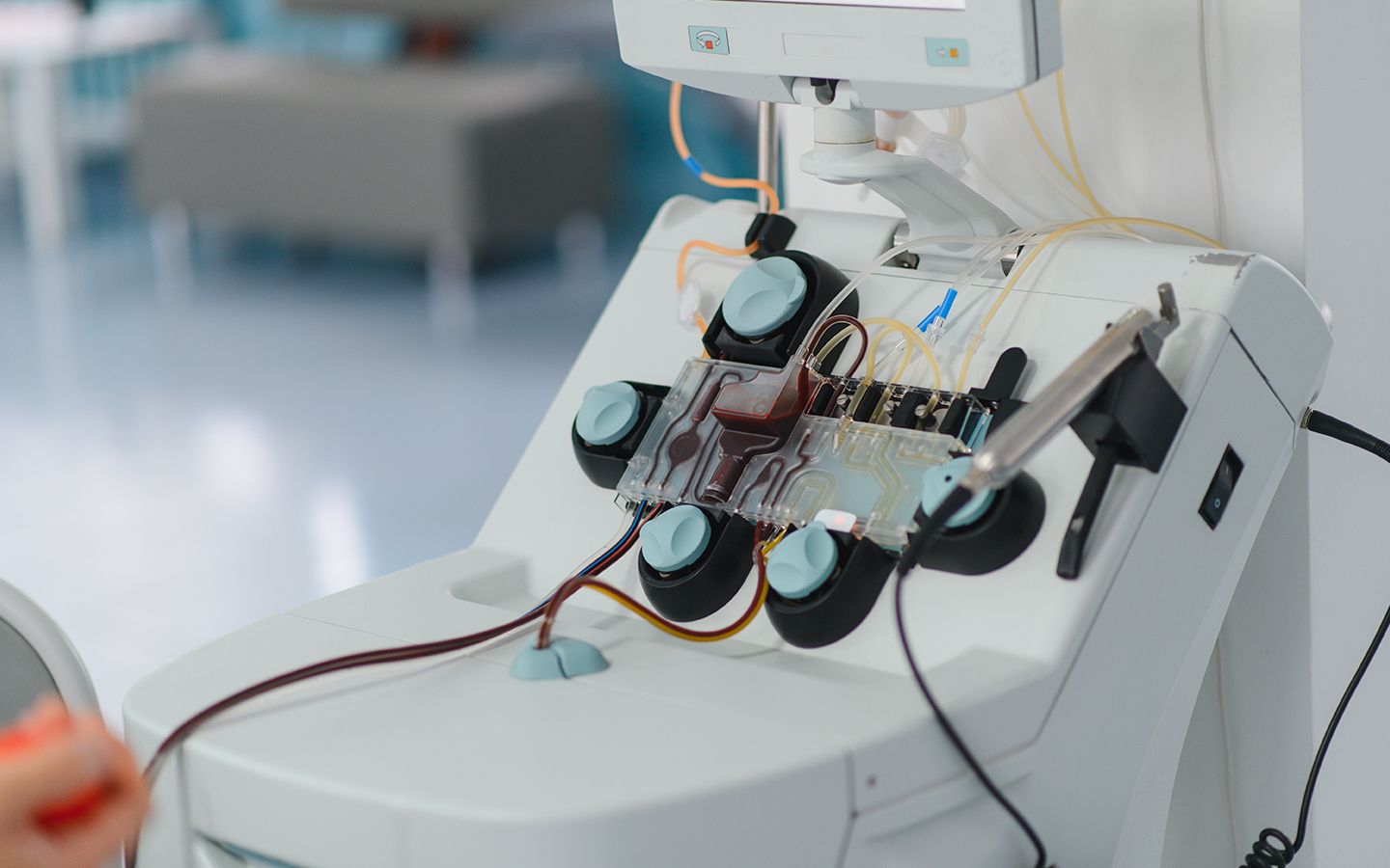 El viaje del plasma: de una donación a un tratamiento esencial