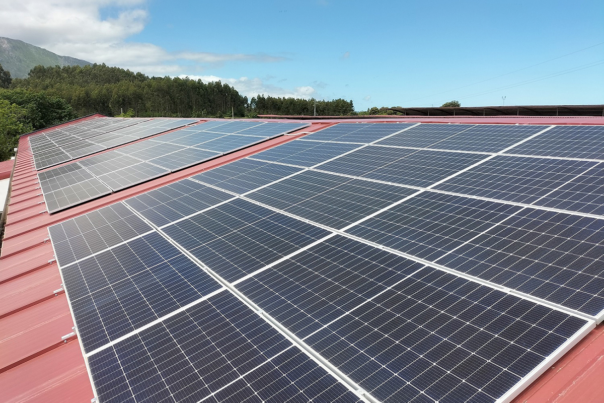 Casi 40 granjas proveedoras han instalado ya equipos de placas fotovoltaicas para obtener electricidad verde - Foto: Nestlé