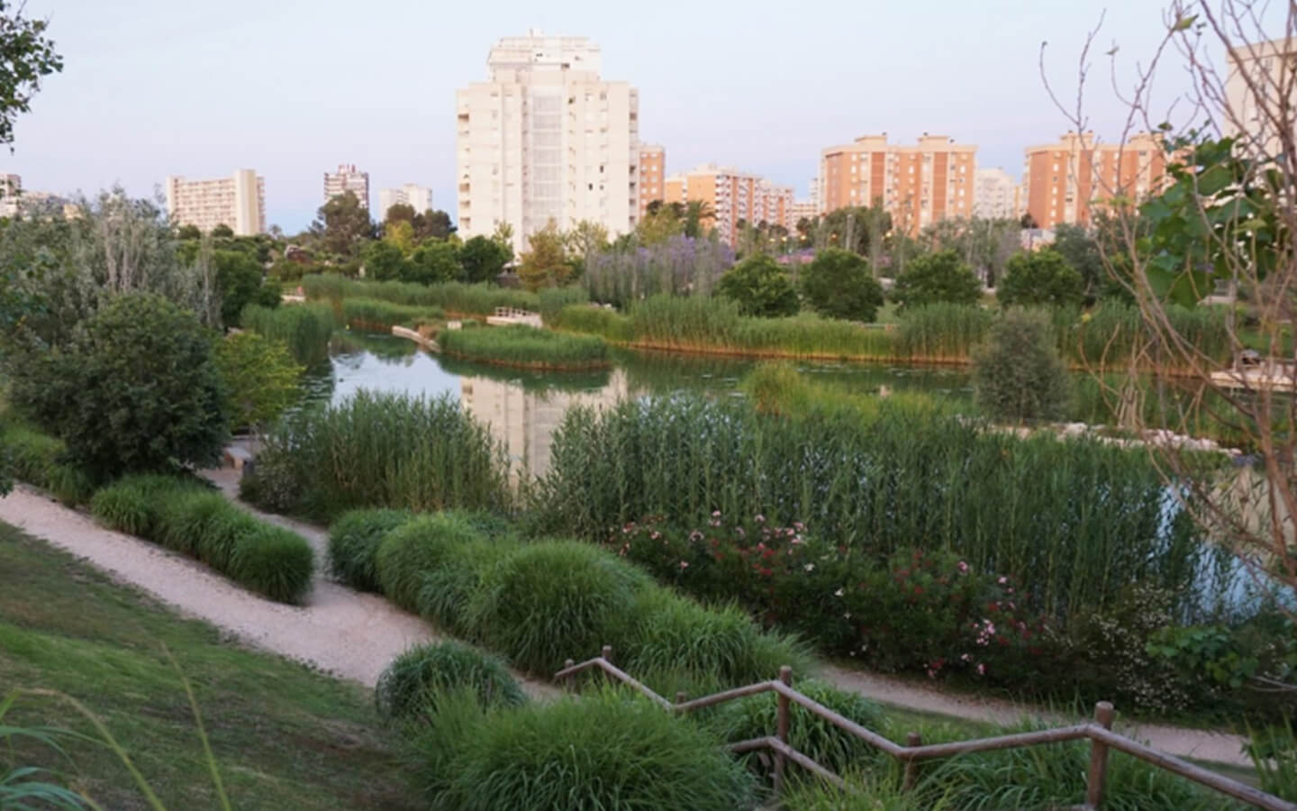 Parque La Marjal en Alicante.