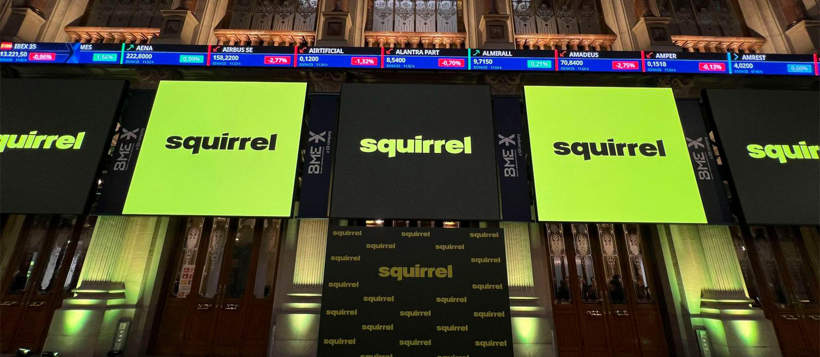 Squirrel.